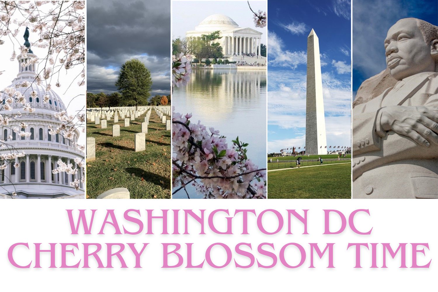 Washington DC Cherry Blossom Time - March 30 - April 2, 2027